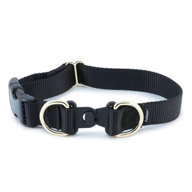 PetSafe KeepSafe BreakAway Collar 1 in Wide Medium Black Prevent Collar Accidents for Your Dog or Puppy Improve Safety Compatible with Leash Use Adjustable Sizes