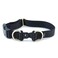 PetSafe KeepSafe BreakAway Collar 1 in Wide Medium Black Prevent Collar Accidents for Your Dog or Puppy Improve Safety Compatible with Leash Use Adjustable Sizes
