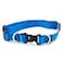 PetSafe KeepSafe BreakAway Collar 1 in Wide Medium Royal Blue Prevent Collar Accidents for Your Dog or Puppy Improve Safety Compatible with Leash Use Adjustable Sizes