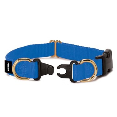 PetSafe KeepSafe BreakAway Collar 1 in Wide Large Royal Blue Prevent Collar Accidents for Your Dog or Puppy Improve Safety Compatible with Leash Use Adjustable Sizes