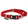 PetSafe KeepSafe BreakAway Collar 34 in Wide Small Red Prevent Collar Accidents for Your Dog or Puppy Improve Safety Compatible with Leash Use Adjustable Sizes