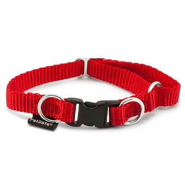 PetSafe KeepSafe BreakAway Collar 34 in Wide Small Red Prevent Collar Accidents for Your Dog or Puppy Improve Safety Compatible with Leash Use Adjustable Sizes