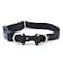 PetSafe KeepSafe BreakAway Collar 34 in Wide Medium Black Prevent Collar Accidents for Your Dog or Puppy Improve Safety Compatible with Leash Use Adjustable Sizes