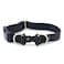 PetSafe KeepSafe BreakAway Collar 34 in Wide Medium Black Prevent Collar Accidents for Your Dog or Puppy Improve Safety Compatible with Leash Use Adjustable Sizes