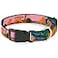 Buckle-Down BuckleDown Plastic Clip Collar Lion King Simba Nala Growing Up Scenes 1 Wide Fits 915 Neck Small