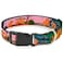 Buckle-Down BuckleDown Plastic Clip Collar Lion King Simba Nala Growing Up Scenes 1 Wide Fits 915 Neck Small