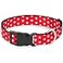 Buckle-Down BuckleDown Plastic Clip Collar Minnie Mouse Polka DotMini Silhouette RedWhite 15 Wide Fits 1832 Neck Large