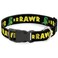 Buckle-Down BuckleDown Plastic Clip Collar RRRAWR Dinosaur BlackGreenYellow 1 Wide Fits 1117 Neck Medium