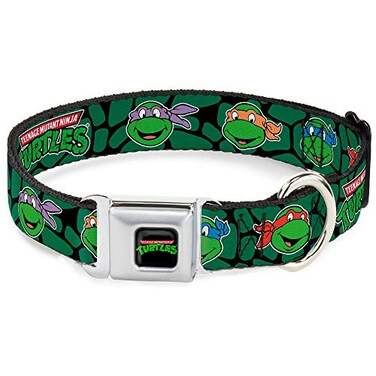Buckle-Down BuckleDown Seatbelt Buckle Dog Collar Classic TMNT Turtle Faces BlackGreen Turtle Shell 1 Wide Fits 1117 Neck Medium
