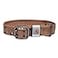Carhartt Pet Fully Adjustable Wide Webbing Collar for Dogs Heavy Duty Nylon for Walking Training Carhartt Brown Large