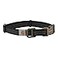 Carhartt Fully Adjustable Nylon Webbing Collars for Dogs Reflective Stitching for Visibility Black Nylon Webbing Large