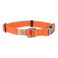 Carhartt Fully Adjustable Nylon Webbing Collars for Dogs Reflective Stitching for Visibility Hunter Orange Nylon Webbing Large