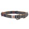 Carhartt Pet Fully Adjustable Webbing Collars for Dogs Reflective Stitching for Visibility Blanket Stripe Medium