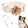 HQREA Fashion Flowers Embroidered Premium Lace Dog Collar Set with Metal Clasp Leash Adjustable for Small Medium Large DogsM