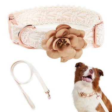 HQREA Fashion Flowers Embroidered Premium Lace Dog Collar Set with Metal Clasp Leash Adjustable for Small Medium Large DogsM