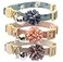 BoomBone Pack of 3 Cat Flower Collar Breakaway Small Dog Collars with Bell