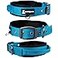 SparklyPets Heavy Duty Dog Collar with Handle for Medium and Large Dogs Professional Collar with Reflective Stitches Soft Handle NickelPlated Buckle Medium 145185 Blue