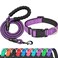 Ladoogo Reflective Dog Collar Padded with Soft Neoprene Breathable Adjustable Nylon Dog Collars for Small Medium Large Dogs Small Pack of 1 Purple CollarLeash