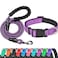 Ladoogo Reflective Dog Collar Padded with Soft Neoprene Breathable Adjustable Nylon Dog Collars for Small Medium Large Dogs Small Pack of 1 Purple CollarLeash