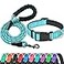 Ladoogo Reflective Dog Collar Padded with Soft Neoprene Breathable Adjustable Nylon Dog Collars for Small Medium Large Dogs Medium Pack of 1 Blue CollarLeash