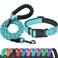 Ladoogo Reflective Dog Collar Padded with Soft Neoprene Breathable Adjustable Nylon Dog Collars for Small Medium Large Dogs Medium Pack of 1 Blue CollarLeash