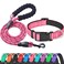 Ladoogo Reflective Dog Collar Padded with Soft Neoprene Breathable Adjustable Nylon Dog Collars for Small Medium Large Dogs Small Pack of 1 Pink CollarLeash