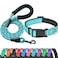 Ladoogo Reflective Dog Collar Padded with Soft Neoprene Breathable Adjustable Nylon Dog Collars for Small Medium Large Dogs Small Pack of 1 Blue CollarLeash