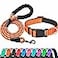 Ladoogo Reflective Dog Collar Padded with Soft Neoprene Breathable Adjustable Nylon Dog Collars for Small Medium Large Dogs Medium Pack of 1 Orange CollarLeash