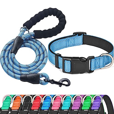 Ladoogo Reflective Dog Collar Padded with Soft Neoprene Breathable Adjustable Nylon Dog Collars for Small Medium Large Dogs XSmall Pack of 1 Vivid Blue CollarLeash