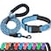 Ladoogo Reflective Dog Collar Padded with Soft Neoprene Breathable Adjustable Nylon Dog Collars for Small Medium Large Dogs Medium Pack of 1 Vivid Blue CollarLeash