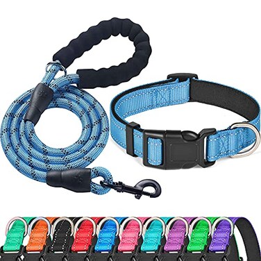 Ladoogo Reflective Dog Collar Padded with Soft Neoprene Breathable Adjustable Nylon Dog Collars for Small Medium Large Dogs Medium Pack of 1 Vivid Blue CollarLeash