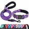 Ladoogo Reflective Dog Collar Padded with Soft Neoprene Breathable Adjustable Nylon Dog Collars for Small Medium Large Dogs Medium Pack of 1 PurplePink Floral CollarLeash
