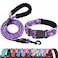 Ladoogo Reflective Dog Collar Padded with Soft Neoprene Breathable Adjustable Nylon Dog Collars for Small Medium Large Dogs Medium Pack of 1 PurplePink Floral CollarLeash