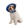 Calm Paws Behavior Support Calm Paws Dog Caring Collar WCalming Small