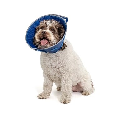 Calm Paws Behavior Support Calm Paws Dog Caring Collar WCalming Small