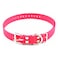 Educator 1Inch Dog Training Collar Strap ONLY Fits FE580 ET800 UL1200 Receivers NOT Compatible with Mini Educator ET300ET400 Durable Biothane Collar Pink
