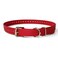 Educator 1Inch Dog Training Collar Strap ONLY Fits FE580 ET800 UL1200 Receivers NOT Compatible with Mini Educator ET300ET400 Durable Biothane Collar Red
