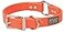 Terrain D.O.G. Terrain DOG Brahma Webb Hunting Dog Collar
