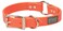 Terrain D.O.G. Terrain DOG Brahma Webb Hunting Dog Collar