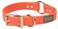 Terrain D.O.G. Terrain DOG Brahma Webb Hunting Dog Collar
