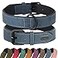 Didog Soft Padded PU Leather Dog Collar Breathable and Adjustable Dog Collars for Small Dogs Comfortable for Daily Walk Blue M Fit Neck 11141020 lbs