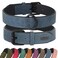 Didog Soft Padded PU Leather Dog Collar Breathable and Adjustable Dog Collars for Small Dogs Comfortable for Daily Walk Blue M Fit Neck 11141020 lbs