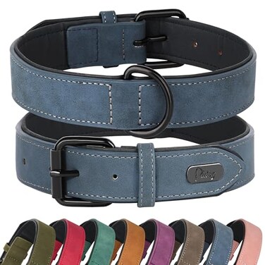 Didog Soft Padded PU Leather Dog Collar Breathable and Adjustable Dog Collars for Small Dogs Comfortable for Daily Walk Blue M Fit Neck 11141020 lbs