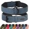 Didog Soft Padded PU Leather Dog Collar Breathable and Adjustable Dog Collars for Small Dogs Comfortable for Daily Walk Blue M Fit Neck 11141020 lbs