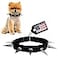 CoyoteVest CoyoteCollar Spiked Dog Collar Small Black Spike Collar Adjustable Studded Protection Against Coyotes and Aggressive Dogs