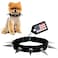 CoyoteVest CoyoteCollar Spiked Dog Collar Small Black Spike Collar Adjustable Studded Protection Against Coyotes and Aggressive Dogs