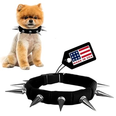 CoyoteVest CoyoteCollar Spiked Dog Collar Small Black Spike Collar Adjustable Studded Protection Against Coyotes and Aggressive Dogs