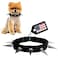CoyoteVest CoyoteCollar Spiked Dog Collar Small Black Spike Collar Adjustable Studded Protection Against Coyotes and Aggressive Dogs