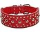 Pimaodog Studded Dog Collar Leather Dog Collar for Medium Large Dogs Pitbull Doberman L1922 inch Red