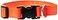 LupinePet Basics 34 Blaze Orange 914 Adjustable Collar for Small Dogs
